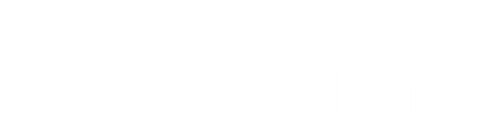 Zeenat Niaz Foundation